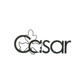 Casar